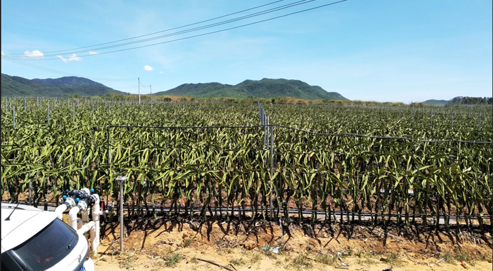 3 Phase 220V Online Soft Starter