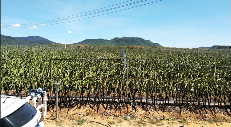 3 Phase 220V 380V 690V 18.5KW 25HP Built in Bypass Soft Starter